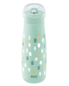 NUK Mini-Me Flip Trinkflasche 450ml mit 2in1 Trinkaufsatz